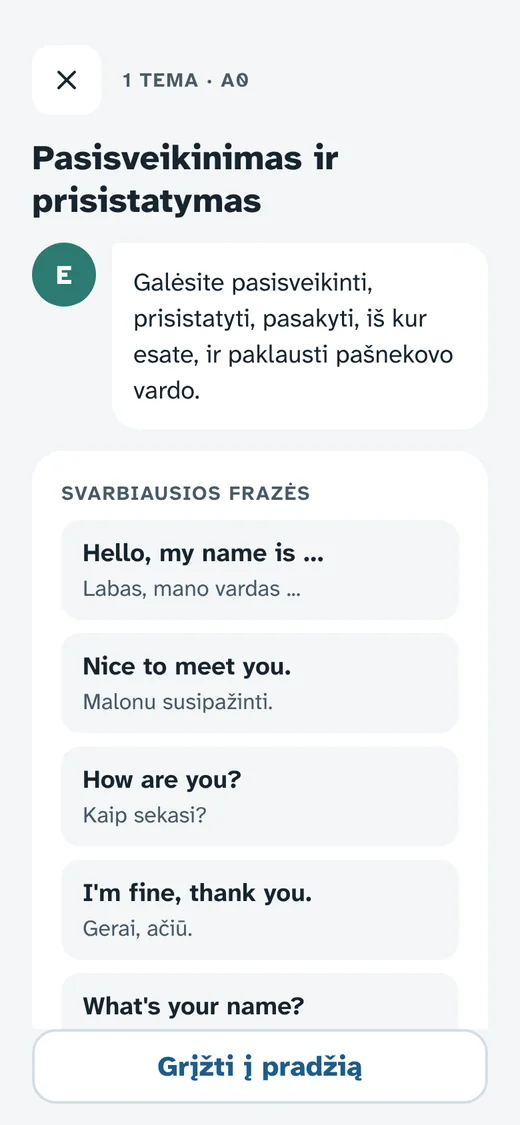 Pamokos įvadas: svarbiausios frazės su vertimu
